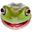 OSFrog Discord emoji