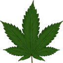 420