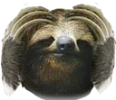 NotLikeSloth