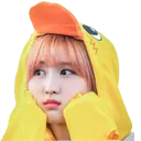 MomoDuck
