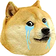 DogeThump