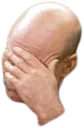 Facepalm