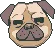 grumpypug grumpypug
