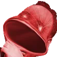 PETAHYPERLUL