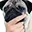 thinkingDoge
