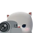 mogcam