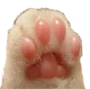 toebeans