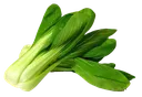 ac_bokchoy