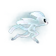 o_run