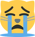 sob_cat