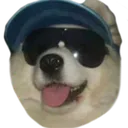 cooldoggo