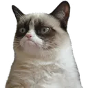 meh