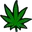 weed