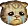 sadkitten