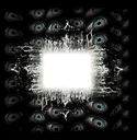 aenima aenima