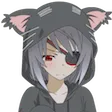 NGNLsad