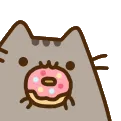 donutCat