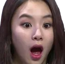 ChaeShook