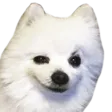 FeelsBorkMan