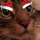 socksmas socksmas