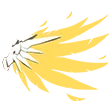MercyWR MercyWR
