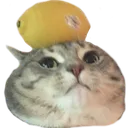 TeslaLemon