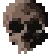 skull skull