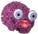 Brain