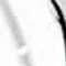 awoop_04