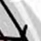 awoop_10