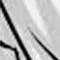 awoop_29