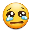 cri cri