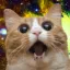 Spacekat
