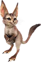 jerboa jerboa