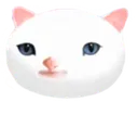 facecat