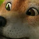 shibe