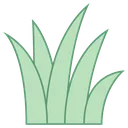 grass