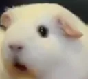 heh
