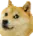 doge