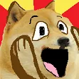 dogechamp