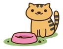 cat_give_more cat_give_more