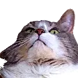 the_admiral the_admiral