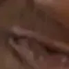 spice31 spice31