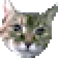 vmanCat