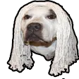 tfueDAWG