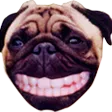 tfuePUG tfuePUG
