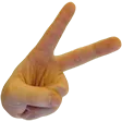 sherbPeace