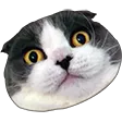 lirikWUT
