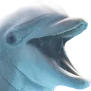 lolphin