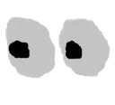 the_eyes